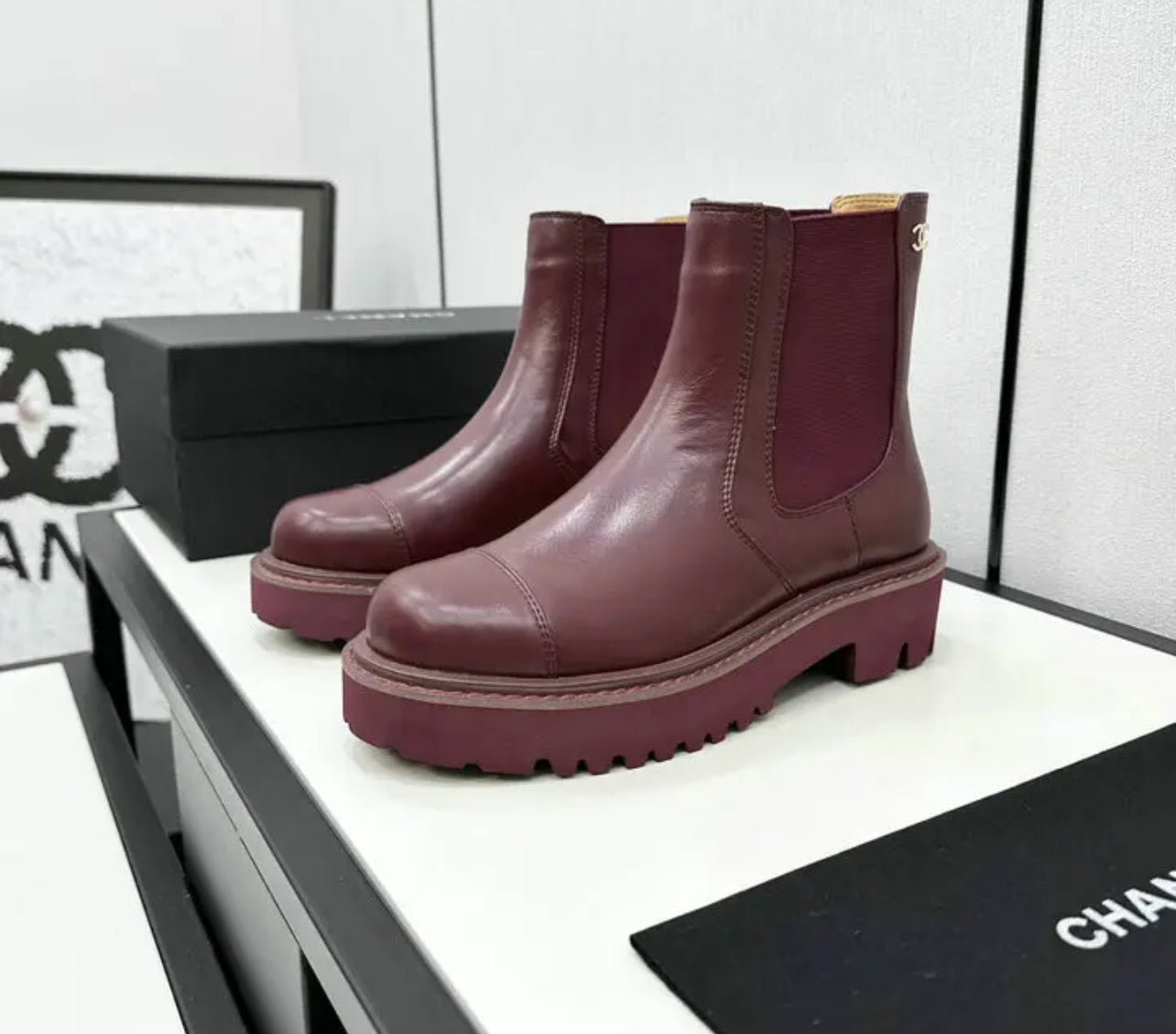 Chanel Gianvito Rossi Boots - Image 3