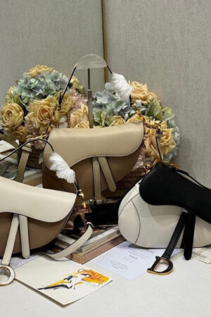 Dior Saddle Bag with Strap
