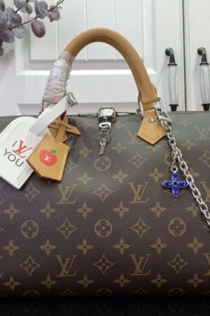 LV Speedy Soft 30 Brown Monogram Empreinte Souple Bag