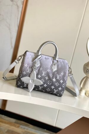 Louis Vuitton Silver Speedy 25