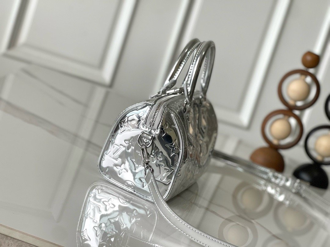 Louis Vuitton Silver Speedy 20 - Image 2