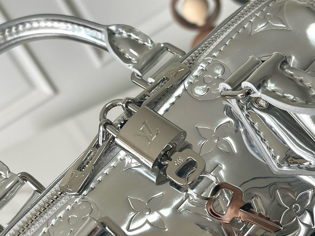 Louis Vuitton Silver Speedy 20 - Image 5