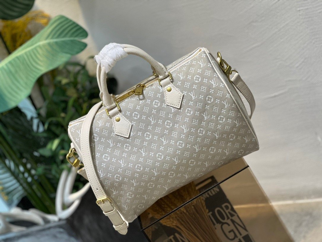 Louis Vuitton Light Gray Speedy 30 - Image 2