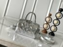 Louis Vuitton Silver Speedy 20