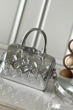 Louis Vuitton Silver Speedy 20