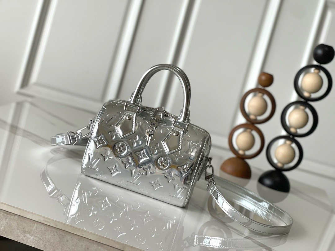 Louis Vuitton Silver Speedy 20