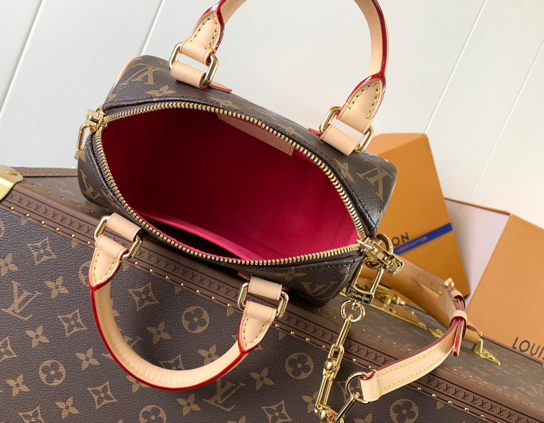 LV x TM Brown Speedy 20 - Image 5