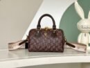 Louis Vuitton Classic Brown Speedy 20