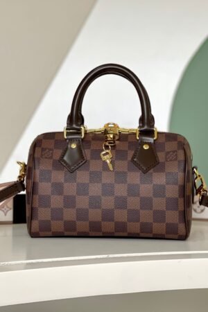 Louis Vuitton Classic Brown Speedy 20