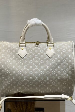 Louis Vuitton Light Gray Speedy 30
