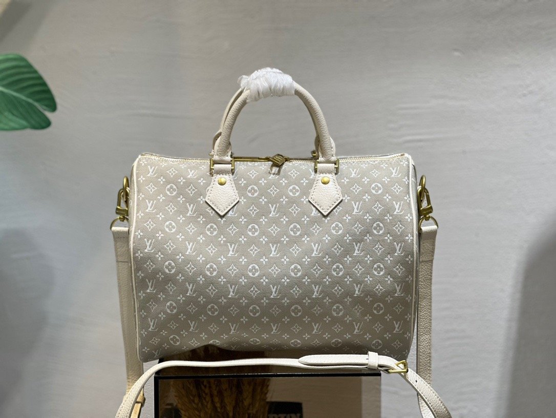 Louis Vuitton Light Gray Speedy 30