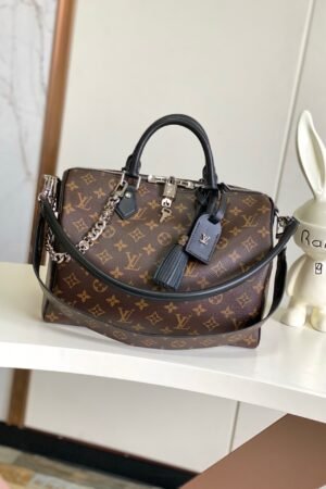 Louis Vuitton Brown Speedy