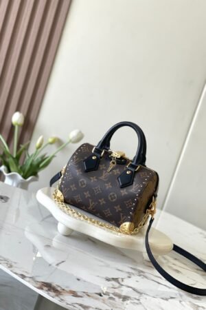 Louis Vuitton Dark Brown Speedy 20