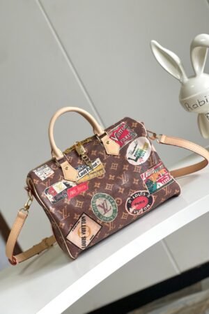 Louis Vuitton Brown with Labels Speedy 30