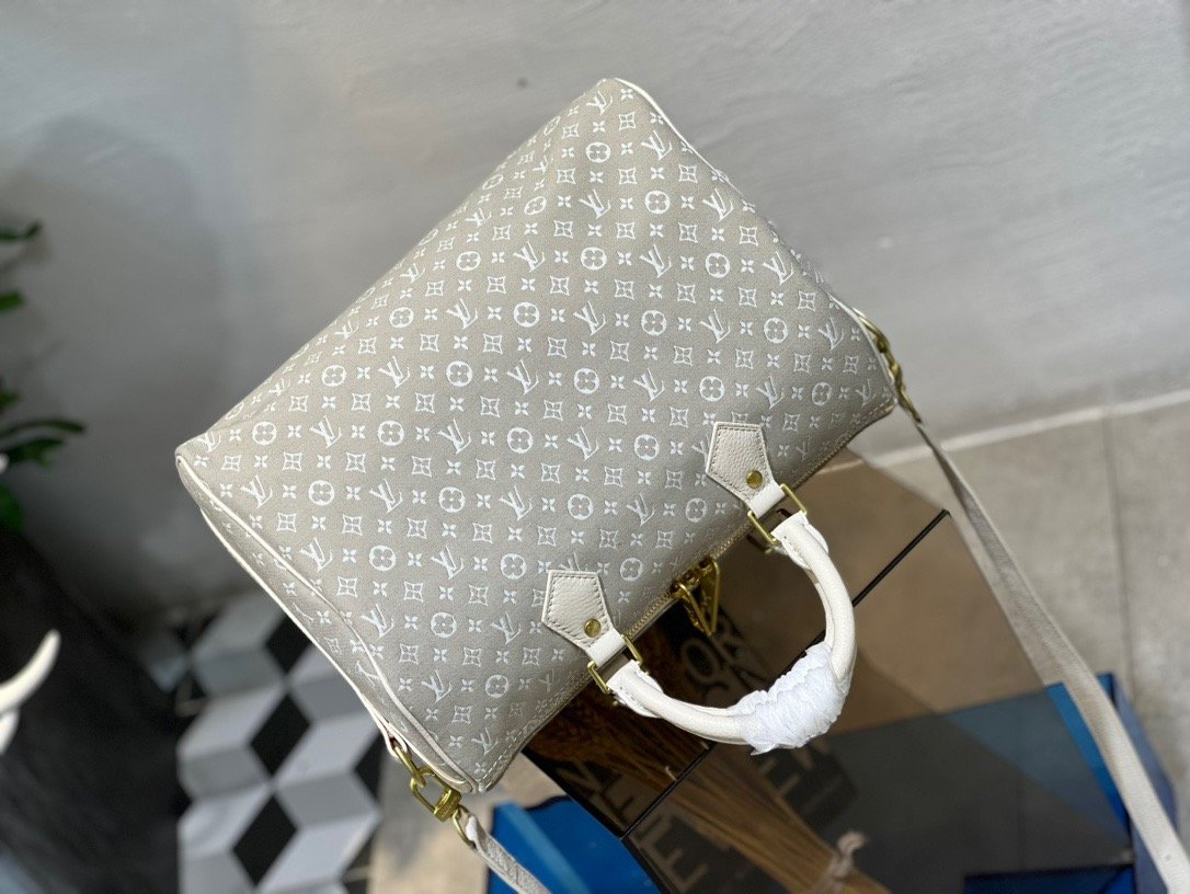 Louis Vuitton Light Gray Speedy 30 - Image 4