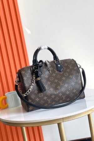 Louis Vuitton Dark Brown Speedy