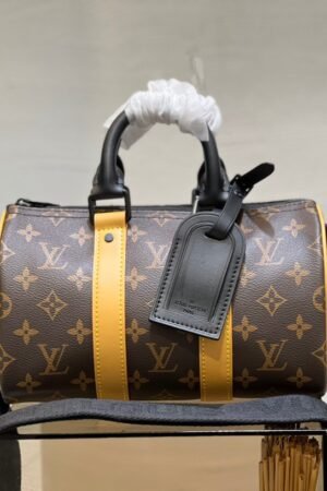 Louis Vuitton Classic Brown Speedy 25