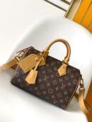 Louis Vuitton Brown Speedy P9