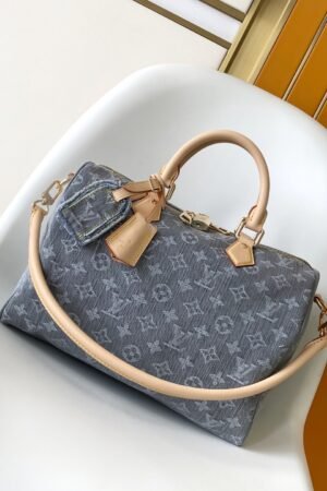 Louis Vuitton Gray Speedy 30