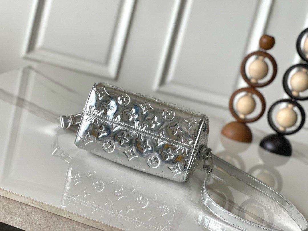 Louis Vuitton Silver Speedy 20 - Image 4