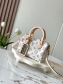 Louis Vuitton Speedy 20