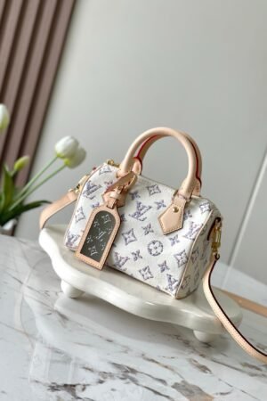Louis Vuitton Speedy 20