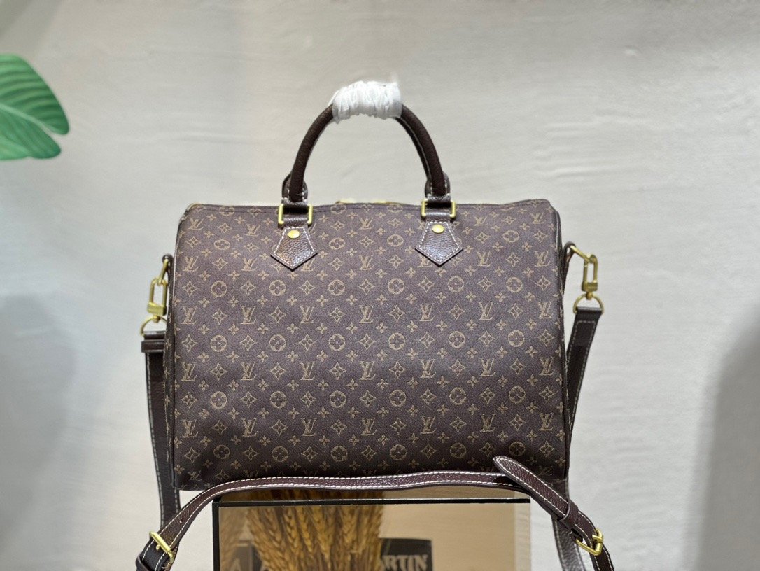 Louis Vuitton Light Brown Speedy 30