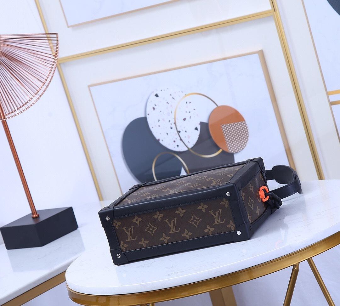 LV Soul Trunk Bag -- Classic Brown - Image 5