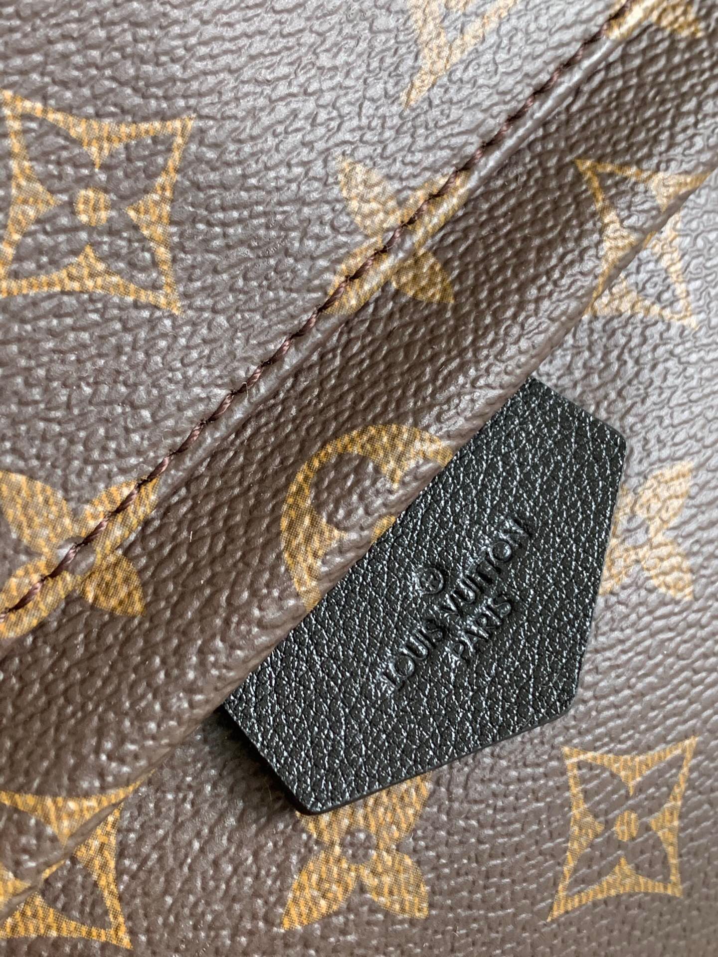 LV Palm Springs Backpack - Image 5