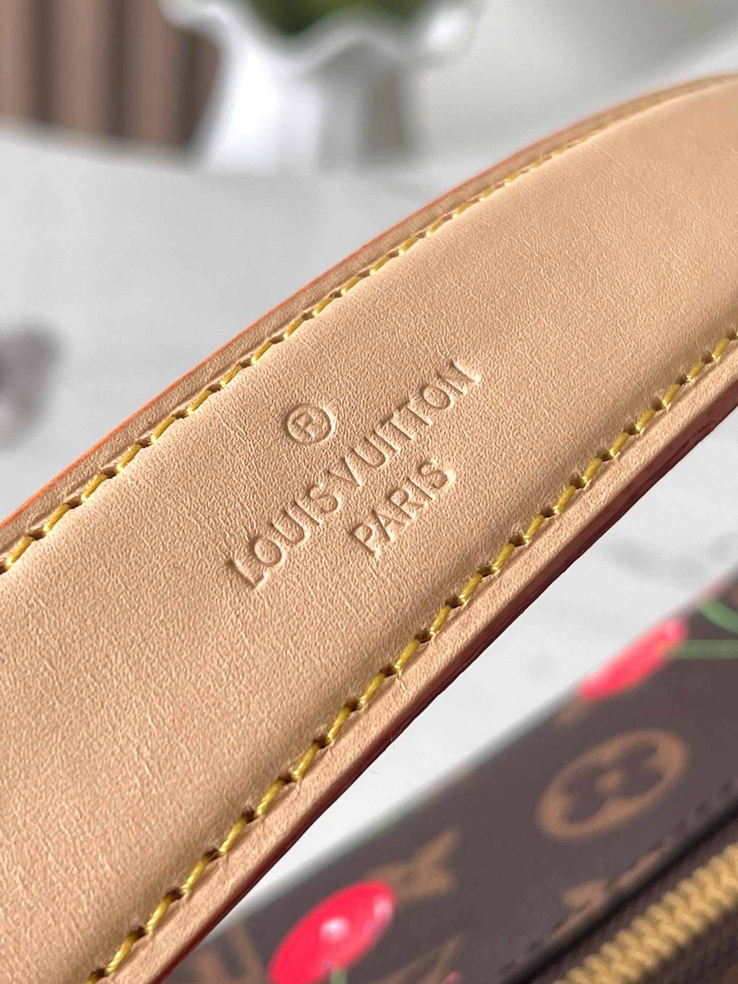 LV x TM Side Trunk Bag - Image 6