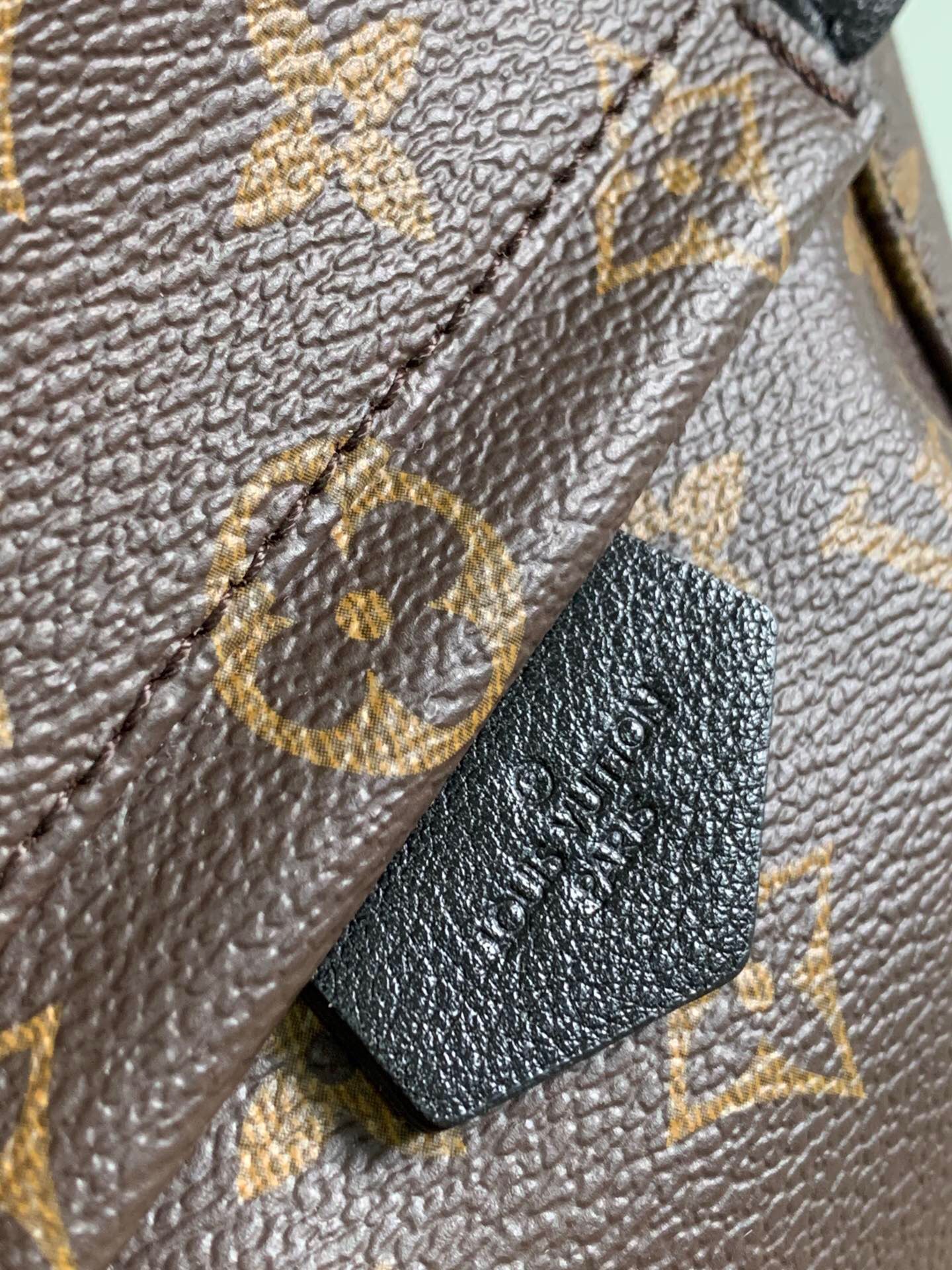 LV Palm Springs Mini Backpack - Image 5