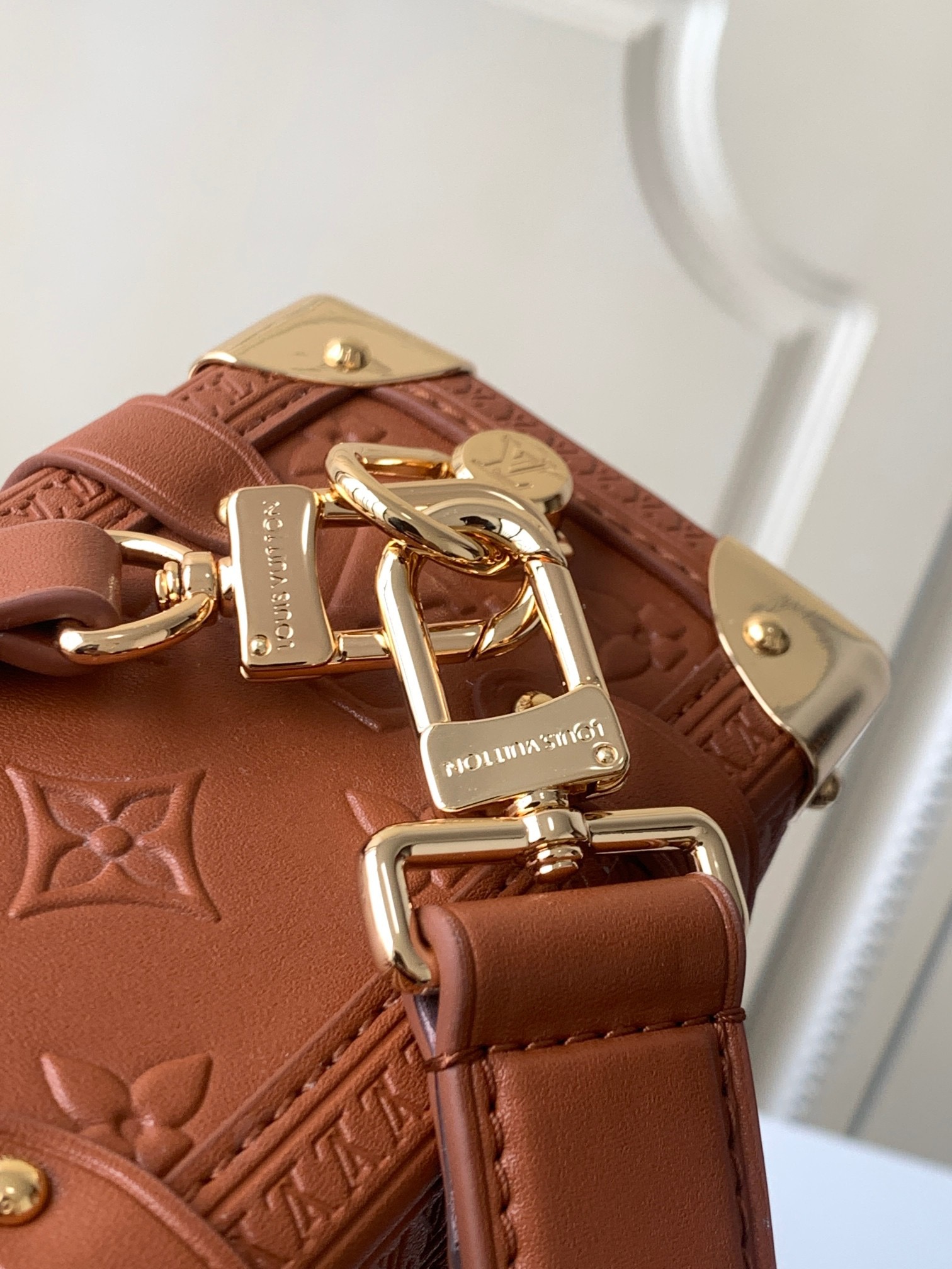 LV Side Trunk Bag -- Classic Brown - Image 6