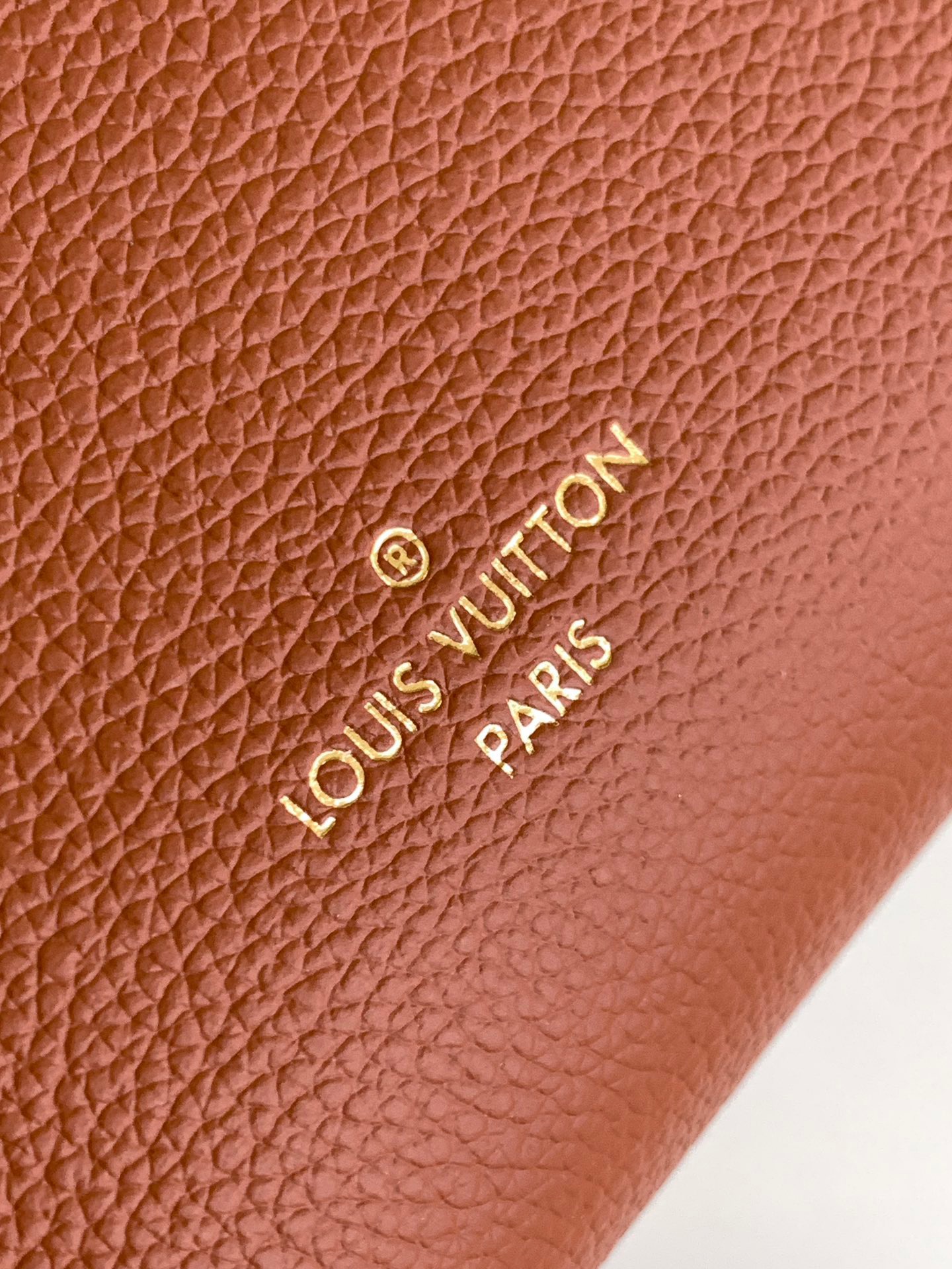 LV Side Trunk Bag -- Brown - Image 5