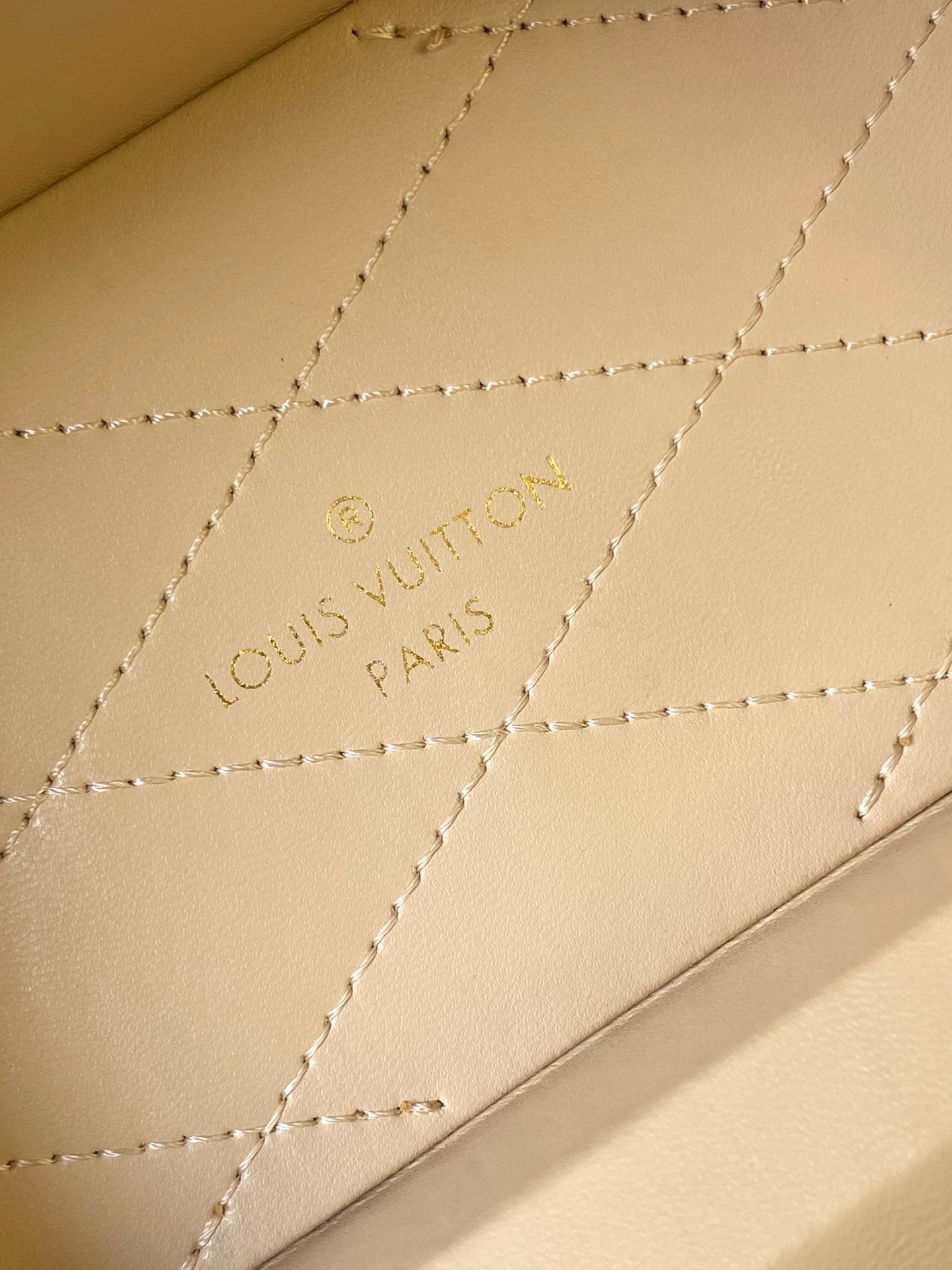 LV Camera Box Bag - Image 9