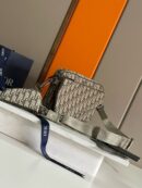 Dior Saddle Triple Pouch