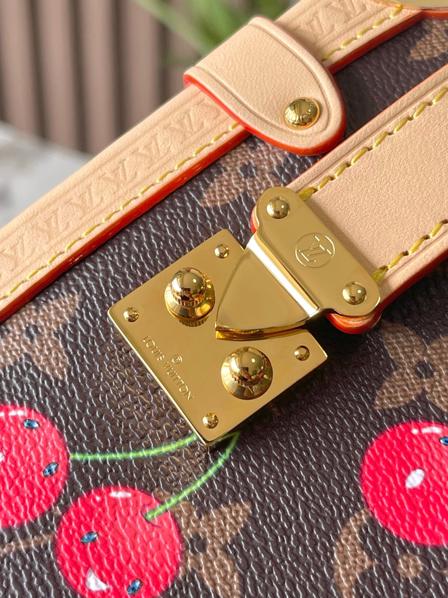 LV x TM Side Trunk Bag - Image 5