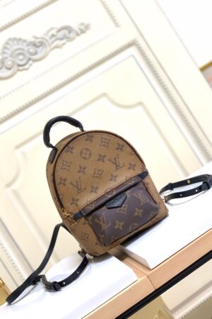 LV  Palm Springs Mini Backpack -- Brown